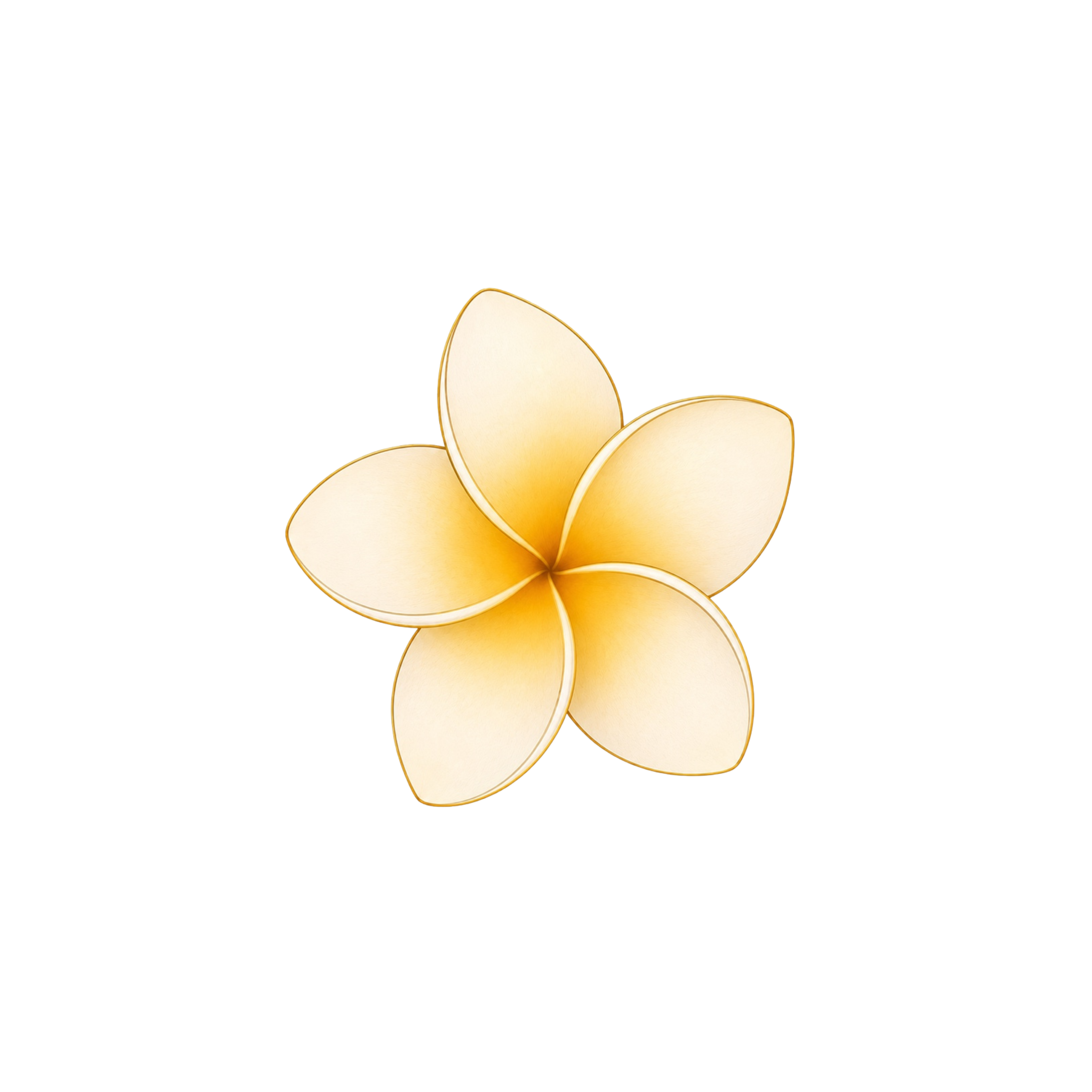鸡蛋花